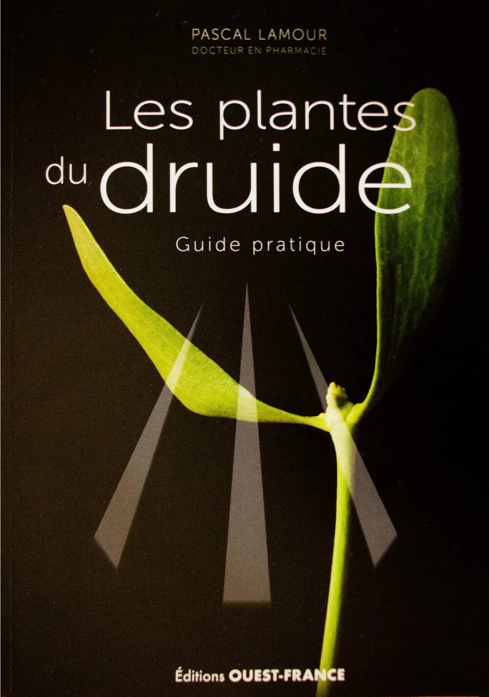 Le nouveau livre de Pascal Lamour, Dans les pas du druide, pour se soigner par les plantes des druides et connaître leur spiritualité