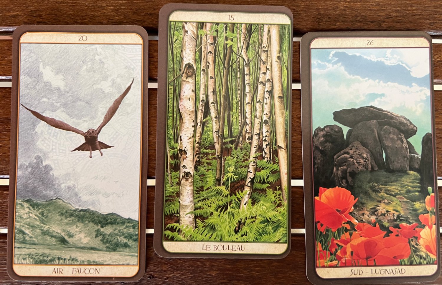 Tirage de l’Oracle du druide pour l’équinoxe d’automne 2026 : Air – Faucon, Le Bouleau, Sud – Lugnasad